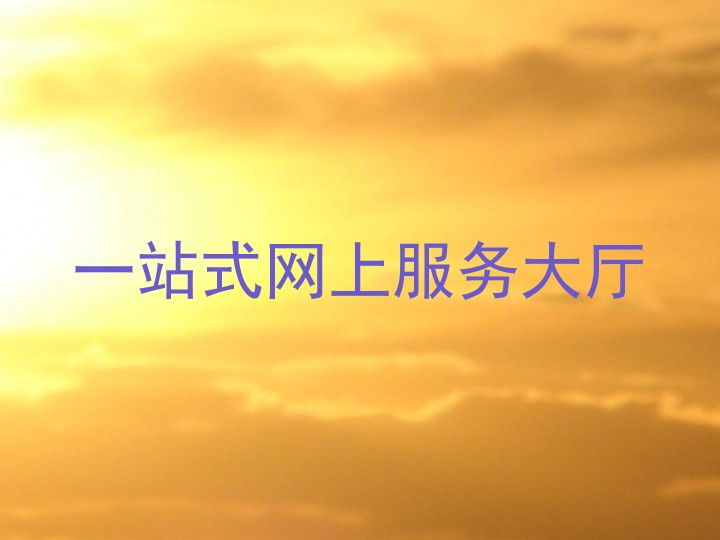 一站式网上服务大厅