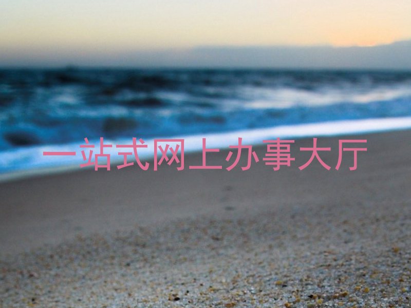 一站式网上办事大厅