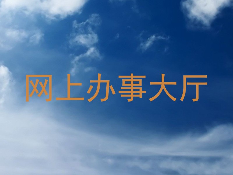 网上办事大厅