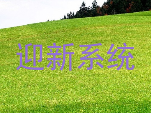 迎新系统