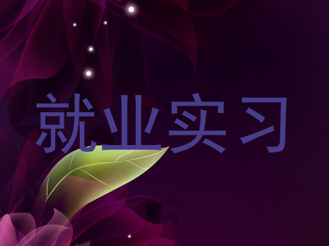 就业实习