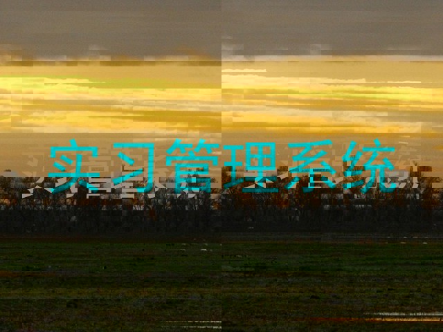 实习管理系统