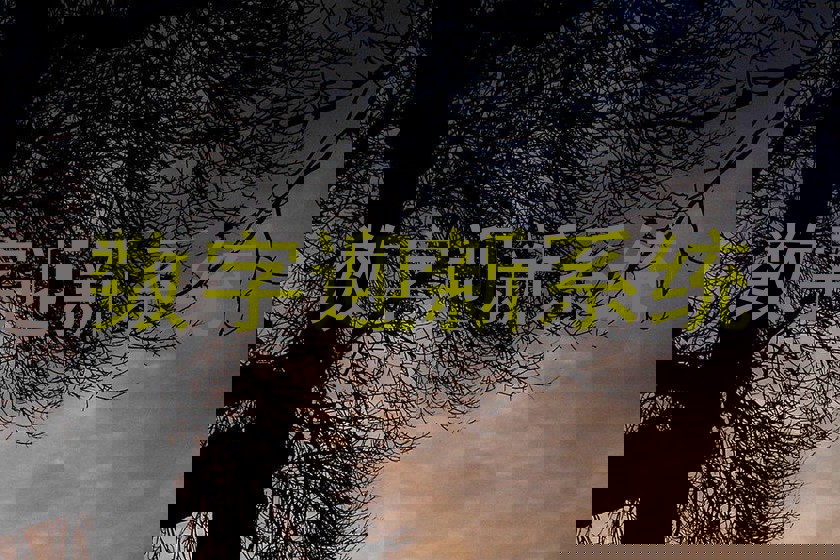 数字迎新系统