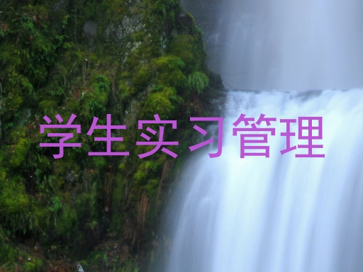 学生实习管理