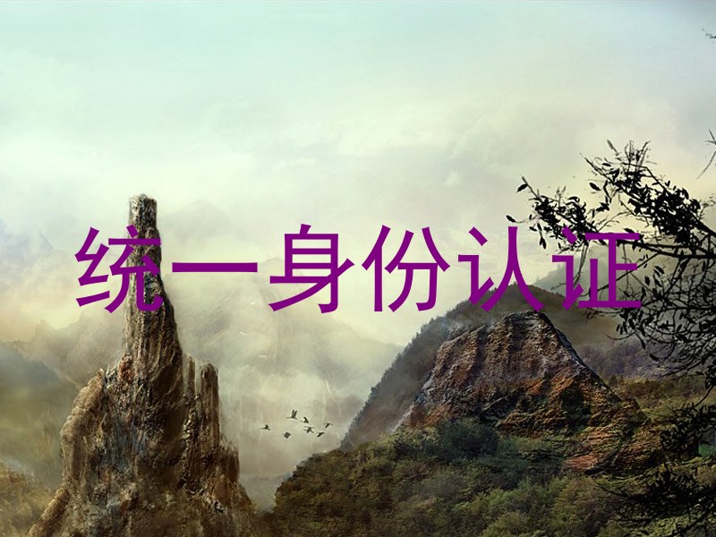 统一身份认证