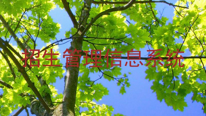 招生管理信息系统