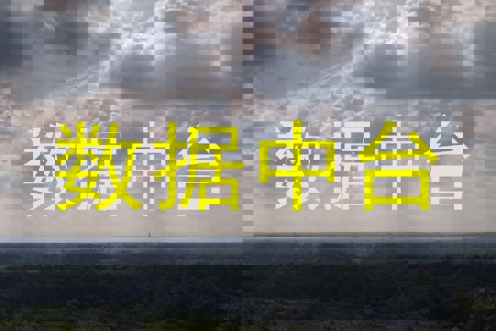 数据中台