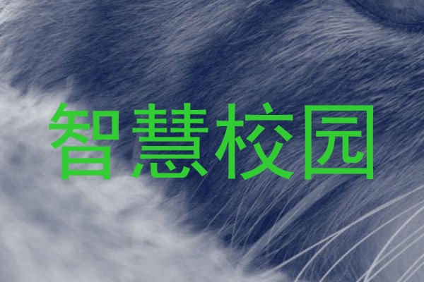 智慧校园