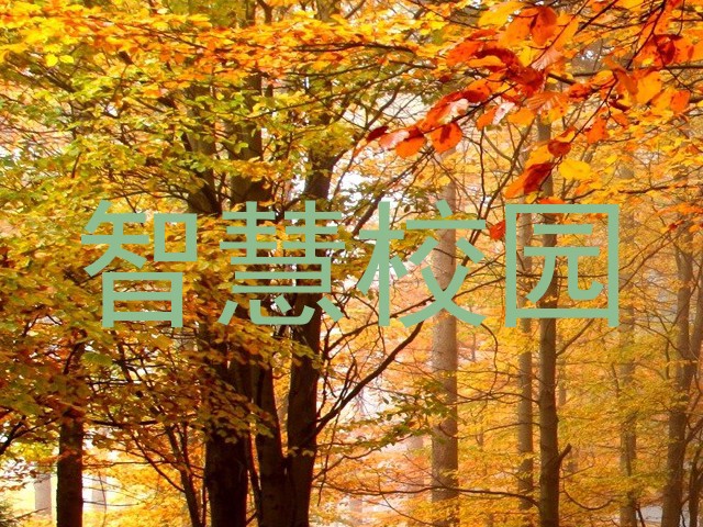 智慧校园