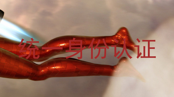 统一身份认证