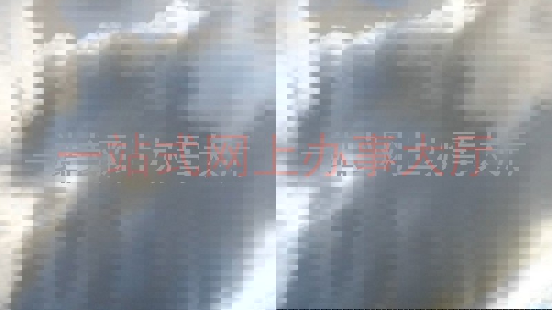 一站式网上办事大厅