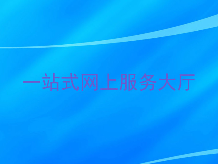 一站式网上服务大厅