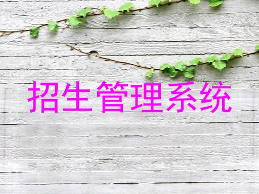 招生管理系统