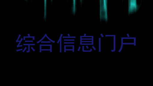 综合信息门户