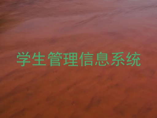 学生管理信息系统