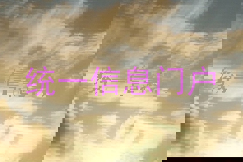 统一信息门户
