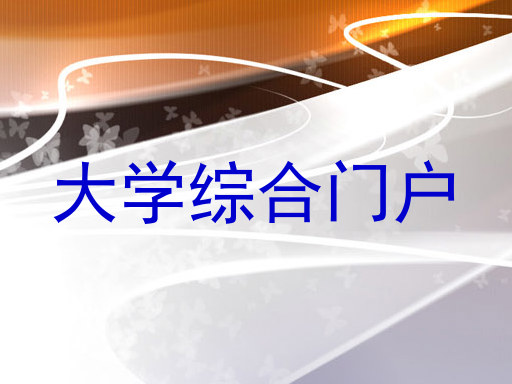 大学综合门户