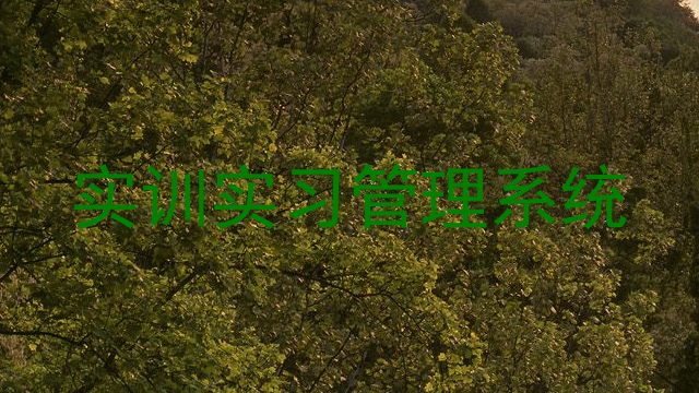 实训实习管理系统