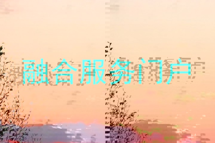 融合服务门户