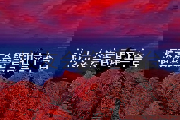 校友会管理平台