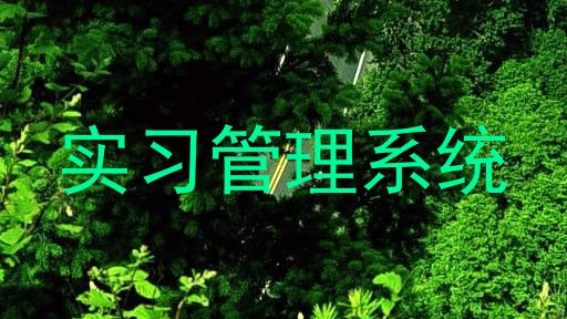 实习管理系统