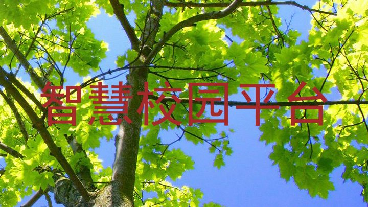 智慧校园平台