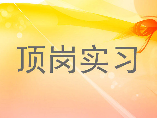 顶岗实习