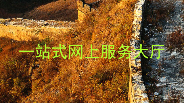 一站式网上服务大厅