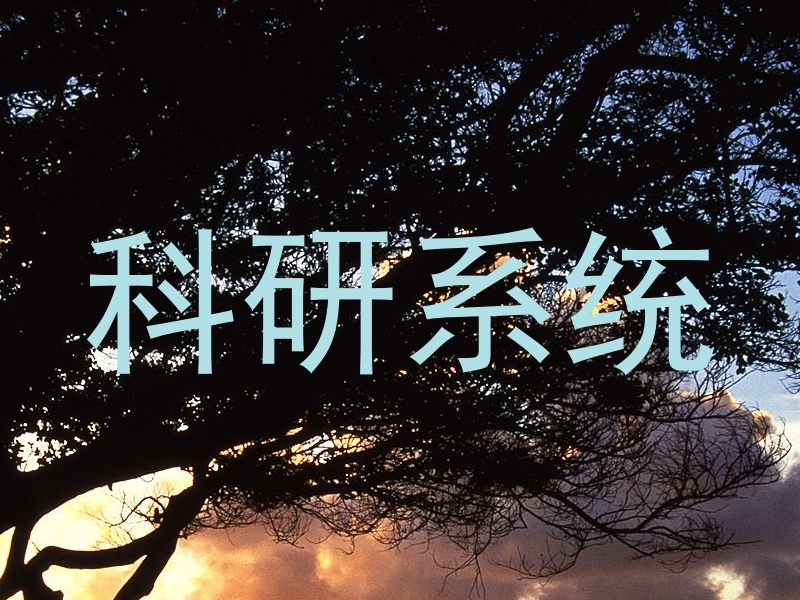 科研系统