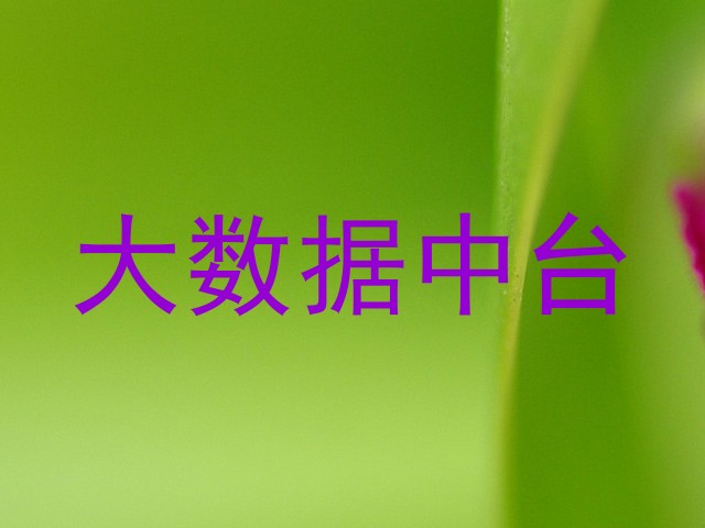 大数据中台