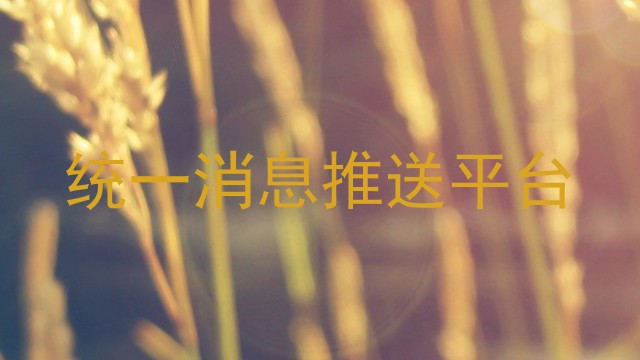 统一消息推送平台