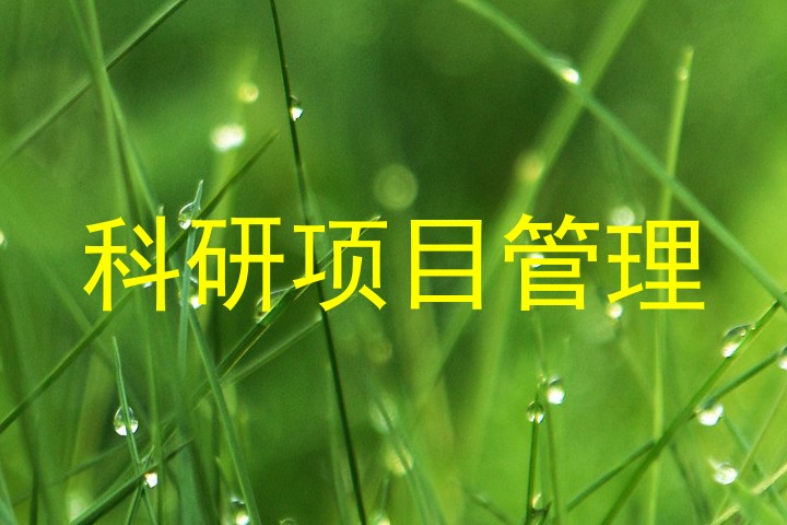 科研项目管理