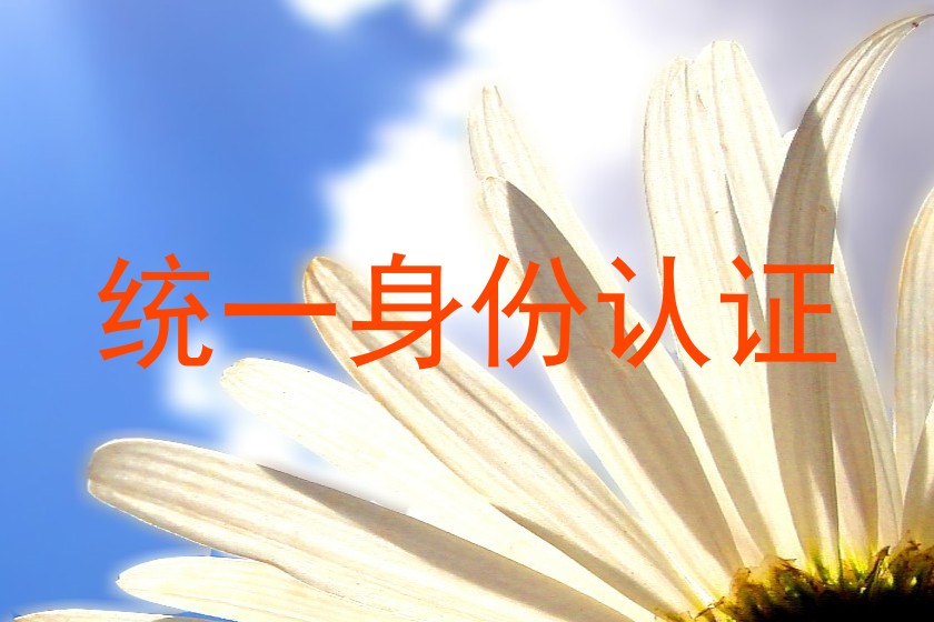 统一身份认证