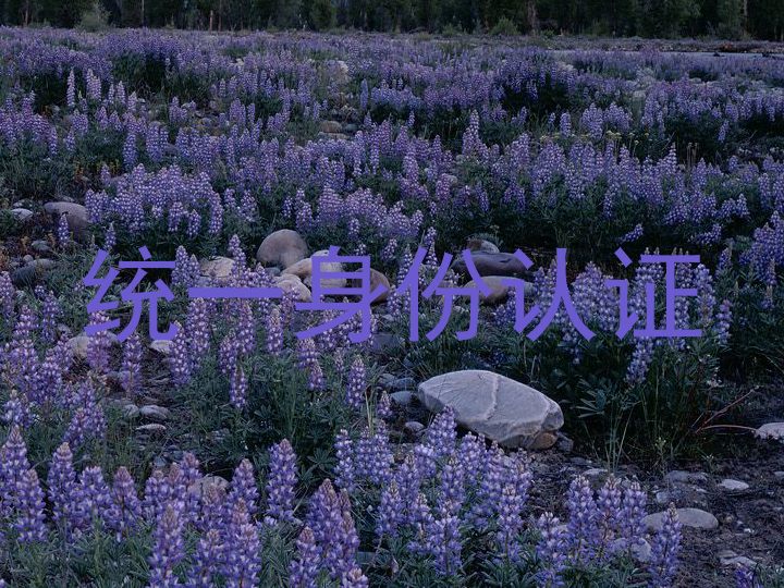 统一身份认证