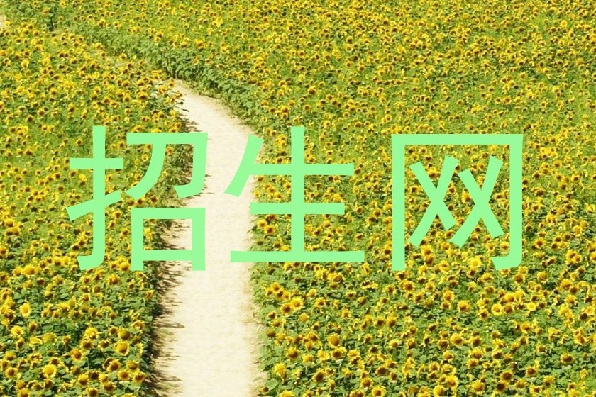 招生网