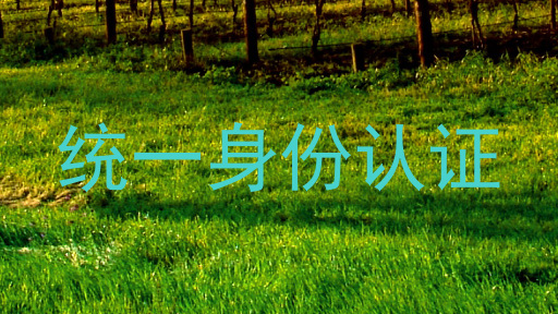 统一身份认证