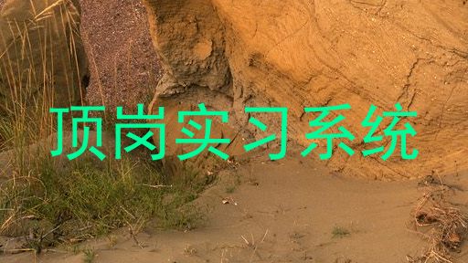 顶岗实习系统