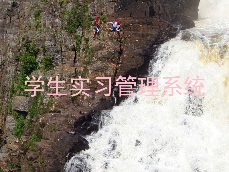 学生实习管理系统