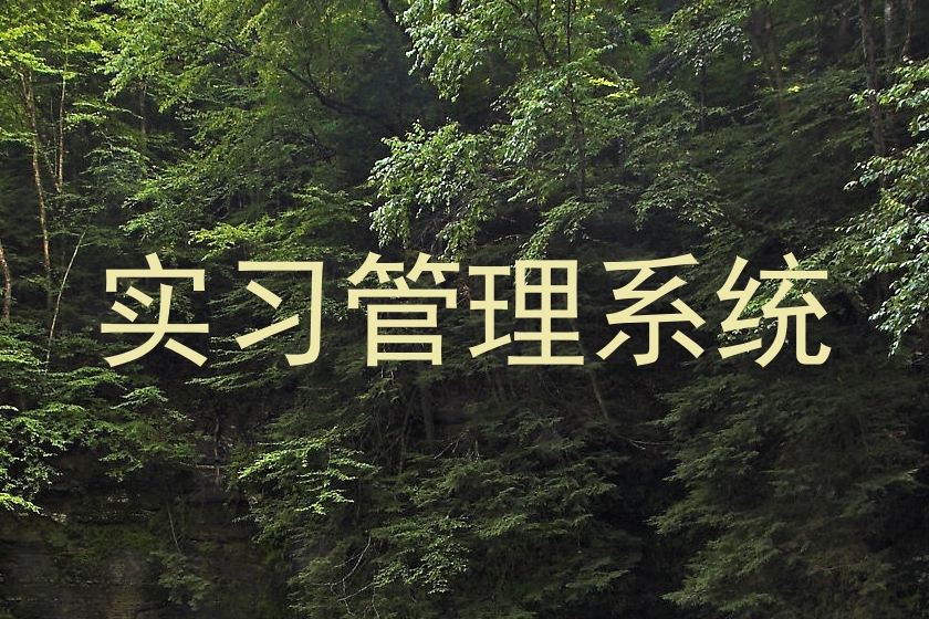 实习管理系统