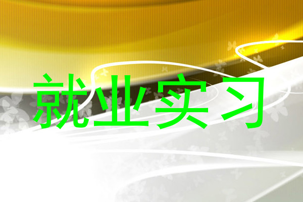 就业实习