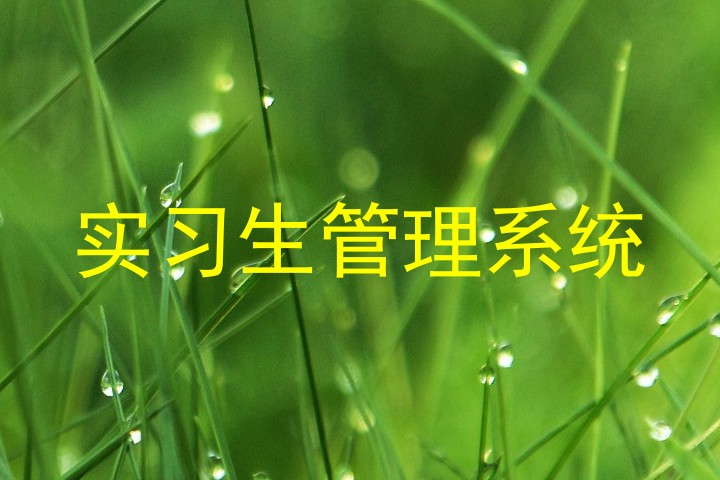 实习生管理系统