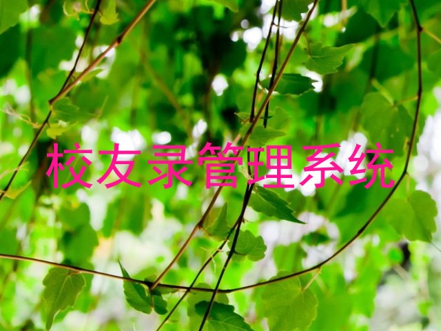校友录管理系统