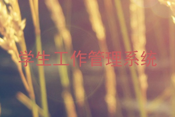 学生工作管理系统