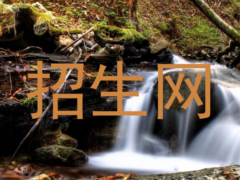 招生网