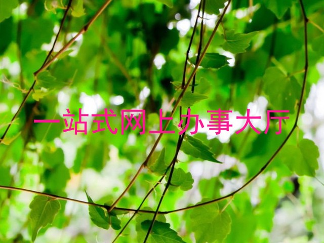 一站式网上办事大厅