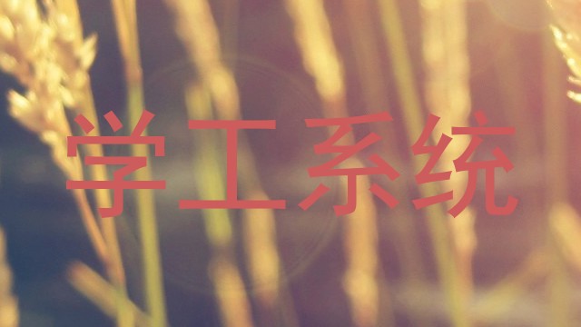 学工系统