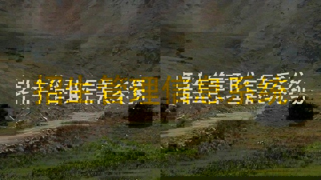 招生管理信息系统
