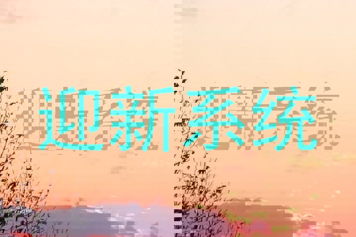 迎新系统