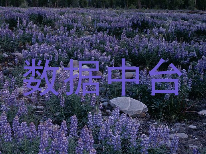 数据中台