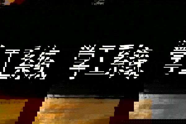 学工系统